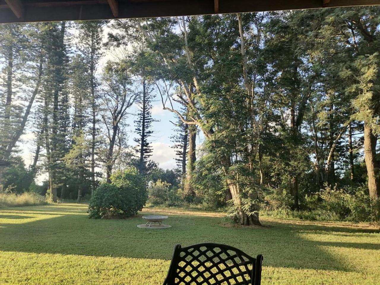 Honeybird Self Catering Accommodation 赫卢赫卢韦 外观 照片